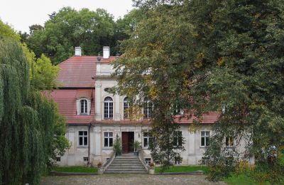 Kaštieľ na predaj Popowo Stare, Pałac w Popowie Starym, Veľkopoľsko, Pohľad z prednej strany