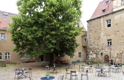 Zámok na predaj Mühlberg/Elbe, Schlossplatz 1, Brandenburg, Obrázok 8/20
