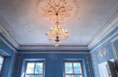 Zámok na predaj Siedlec, Pałac w Siedlcu, Veľkopoľsko, Salón