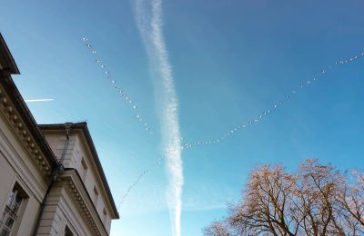 Zámok na predaj Siedlec, Pałac w Siedlcu, Veľkopoľsko, Obrázok 20/20