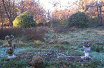 Zámok na predaj Siedlec, Pałac w Siedlcu, Veľkopoľsko, Zámocký park