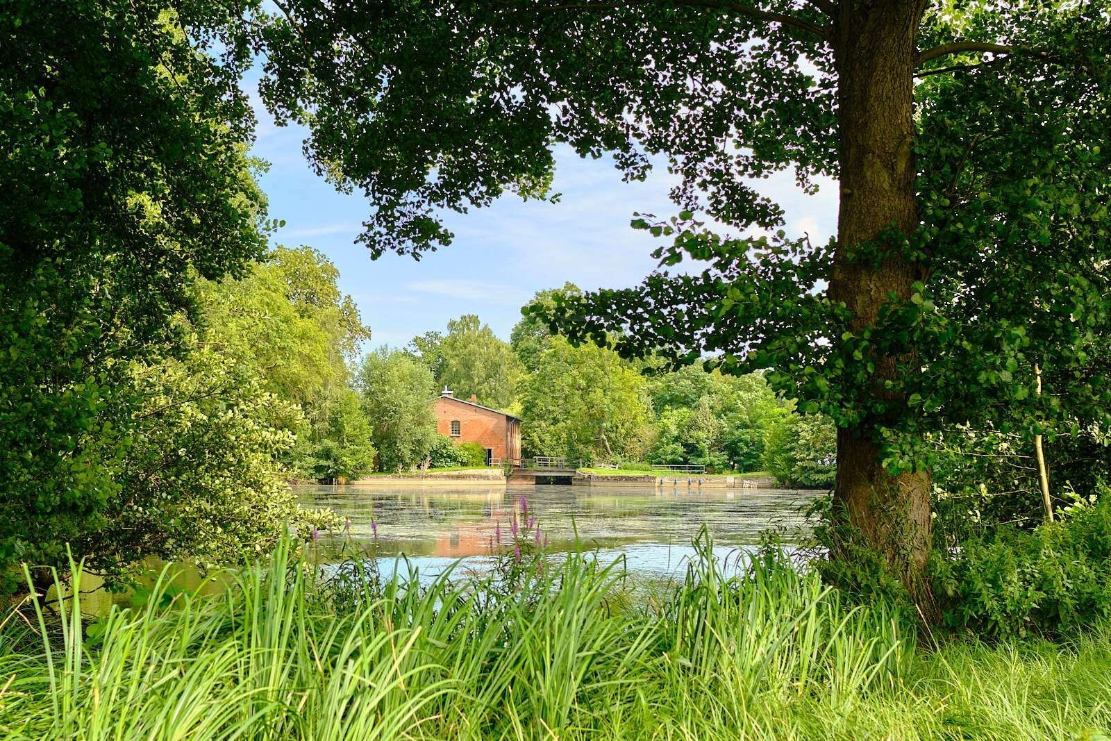 29451 Dannenberg, Niedersachsen na predaj