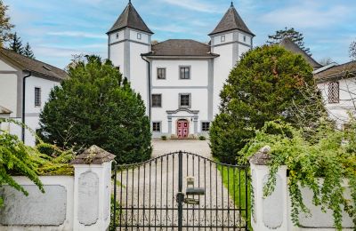 Zámok na predaj 4693 Desselbrunn, Horné Rakúsko, Die herrschaftliche Rückansicht im Nordosten des Ensembles