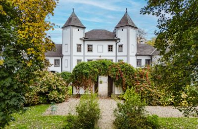 Zámok na predaj 4693 Desselbrunn, Horné Rakúsko, Verwunschen ranken Wein und Hortensien
