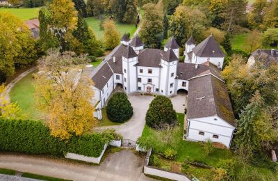 Zámok na predaj 4693 Desselbrunn, Horné Rakúsko, Obrázok 2/22