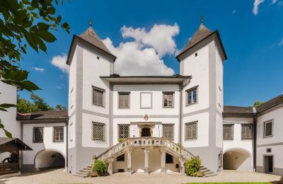 Zámok na predaj 4693 Desselbrunn, Horné Rakúsko, Die Nordostansicht