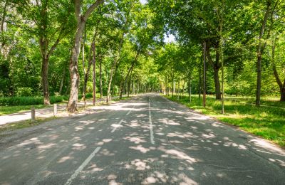 Historická vila na predaj 1020 Leopoldstadt, Viedeň, Obrázok 14/18