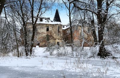 Zámok na predaj Komorowice, Wrocławska 27, Dolné Sliezsko, Obrázok 24/27