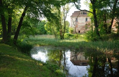 Zámok na predaj Komorowice, Wrocławska 27, Dolné Sliezsko, Zámocký park