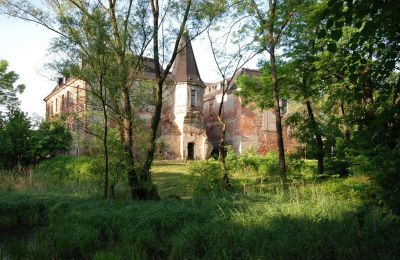 Zámok na predaj Komorowice, Wrocławska 27, Dolné Sliezsko, Obrázok 17/27