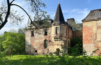 Zámok na predaj Komorowice, Wrocławska 27, Dolné Sliezsko, Obrázok 4/27