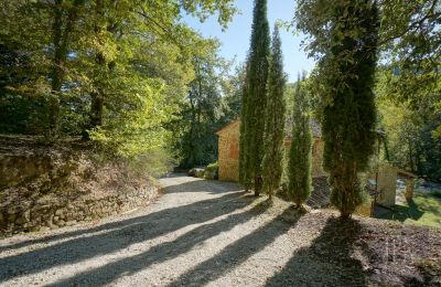 Vidiecky dom na predaj 06019 Umbertide, Umbria, Obrázok 22/47