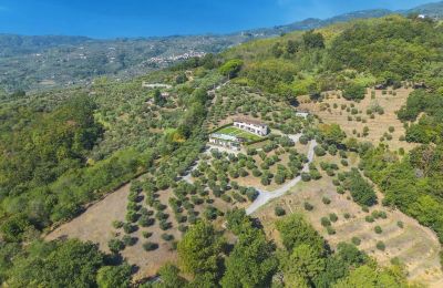 Historický objekt na predaj Montecatini Terme, Toscana, Obrázok 3/20