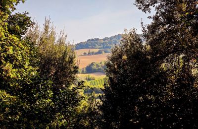 Vidiecky dom na predaj 40060 Dozza, Ferraruola  1, Emilia-Romagna, Výhľad