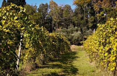 Vidiecky dom na predaj 40060 Dozza, Ferraruola  1, Emilia-Romagna, Obrázok 18/26