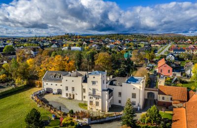 Historické nehnuteľnosti, Kaštieľ Trnová pri Prahe s exkluzívnou rezidenciou a parkom