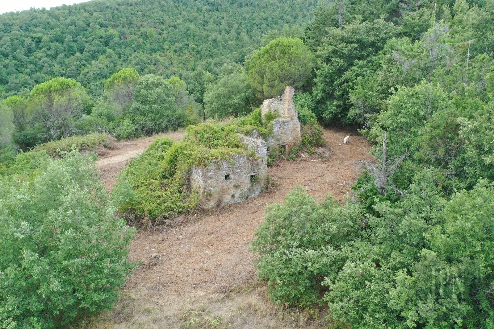 Fotky Kamenný dom v Pian di Marte s ruinou a 2,8 ha pozemku