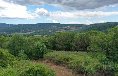 Vidiecky dom na predaj 06060 Pian di Marte, Umbria, Obrázok 7/14