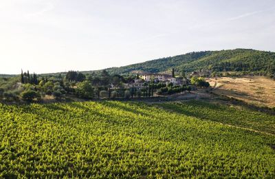 Kaštieľ na predaj Castellina in Chianti, Toscana, Okolie nehnuteľnosti