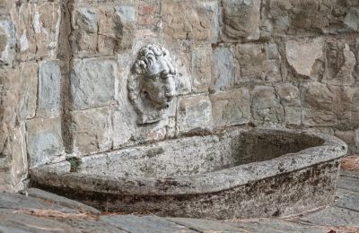 Kaštieľ na predaj Castellina in Chianti, Toscana, Obrázok 8/29