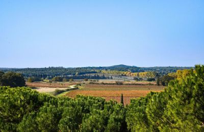 Hrad na predaj Pouzilhac, Occitanie, Obrázok 43/43