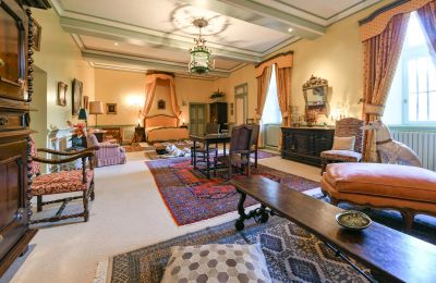 Hrad na predaj Pouzilhac, Occitanie, Obrázok 16/43