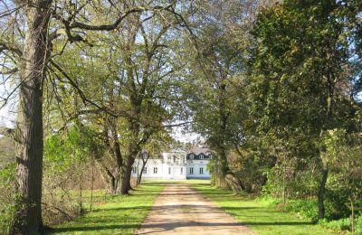 Kaštieľ na predaj Mołomotki-Dwór, województwo mazowieckie, Obrázok 6/16