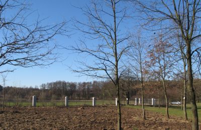 Kaštieľ na predaj Mołomotki-Dwór, województwo mazowieckie, ogrodzenie