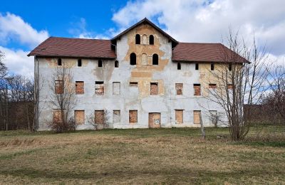 Historické nehnuteľnosti, Kúria Lipa v Dolnom Sliezsku
