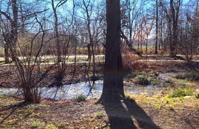 Zámok na predaj Bystrzyca Dolna, województwo dolnośląskie, Obrázok 9/9