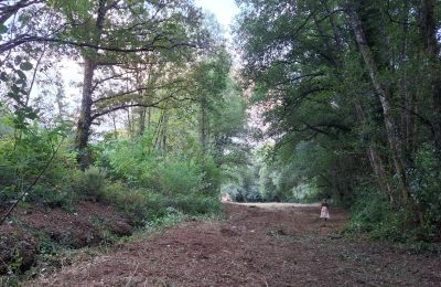Kaštieľ na predaj Galícia, Obrázok 47/48
