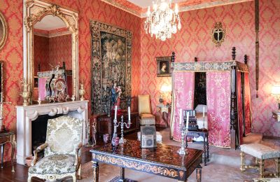 Slott till salu Forcalquier, Provence-Alpes-Côte d'Azur, Bild 7/10