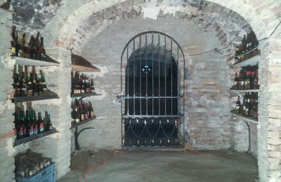 Mestský palác na predaj Alice Bel Colle, libertà 11, Piemont, Vínna pivnica