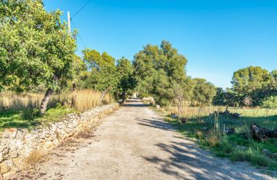Kaštieľ na predaj Palma, Baleárijské ostrovy, Obrázok 20/24