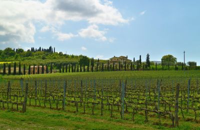 Vidiecky dom na predaj Sarteano, Toscana, Obrázok 49/50