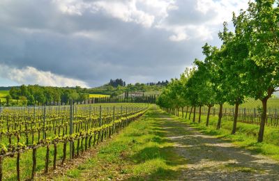 Vidiecky dom na predaj Sarteano, Toscana, Obrázok 46/50