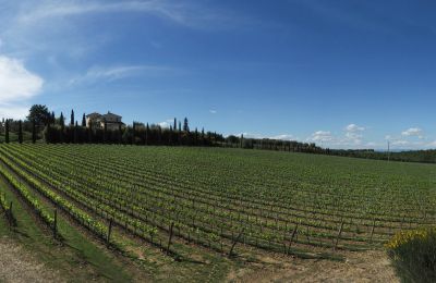 Vidiecky dom na predaj Sarteano, Toscana, Obrázok 50/50