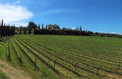 Vidiecky dom na predaj Sarteano, Toscana, Obrázok 48/50