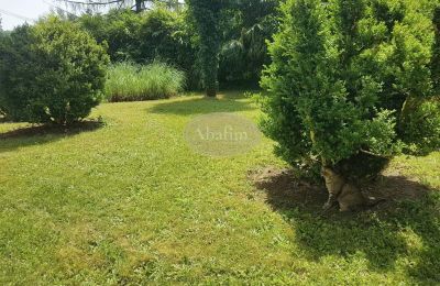 Historická vila na predaj Salies-de-Béarn, Nouvelle-Aquitaine, Obrázok 17/17