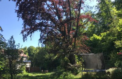 Byt v historickej budove na predaj Gera, Vollersdorfer Str. 56, Thüringen, Garten mit Buche