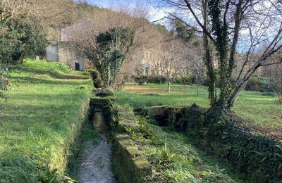 Mlyn na predaj Angoulême, Nouvelle-Aquitaine, Nehnuteľnosť