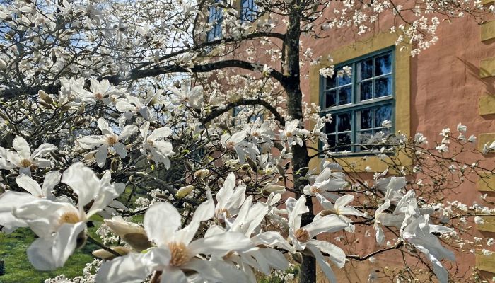 Hrad na predaj Mecklenburg-Vorpommern