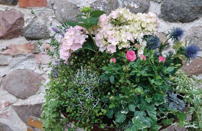 Borg til salg Mecklenburg-Vorpommern, Billede 53/96