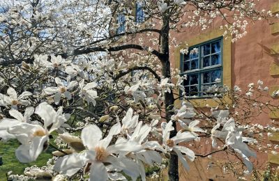 Historické nehnuteľnosti, Vodný kaštieľ Turow 