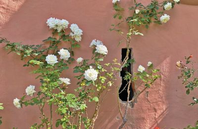 Borg til salg Mecklenburg-Vorpommern, Billede 45/96