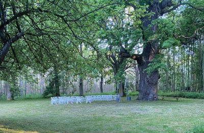 Borg til salg Mecklenburg-Vorpommern, Billede 68/96