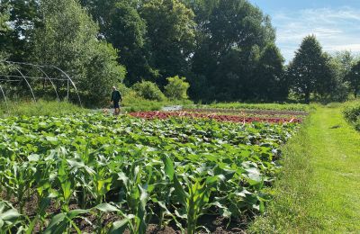 Borg til salg Mecklenburg-Vorpommern, Billede 62/96