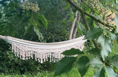 Borg til salg Mecklenburg-Vorpommern, Billede 70/96