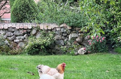 Borg til salg Mecklenburg-Vorpommern, Billede 75/96