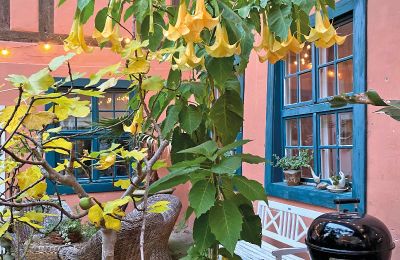 Borg til salg Mecklenburg-Vorpommern, Billede 43/96